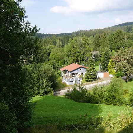 Am 