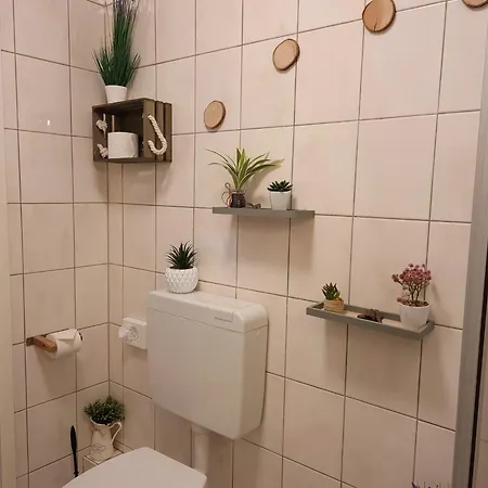 Am 